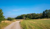 Excursión A pie Scheßlitz - Rundwanderweg Scheßlitz A 1