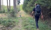 Trail Walking Vielsalm - Initiation bivouac j1 - Photo 9