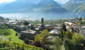 Tour Zu Fuß Chiuro - Valtellina wine trail half trail 21km - Photo 5