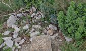 Trail Walking Lussas - Lussas : Oppidum de Jastre -Camp de Cesar14km. - Photo 3