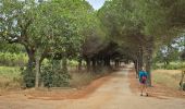 Tour Wandern Hyères - Rando Porquerolle - Photo 7