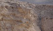 Randonnée A pied Conseil régional de Ramat Negev - שביל עריף - כרכום - Photo 9