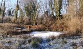 Tocht Stappen Borgloon - Promenade vers l'Aeneas Wilder  - Photo 7