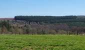 Randonnée Marche Houffalize - Engreux 070426 - Photo 19