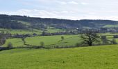 Trail Walking Limbourg - 20240325 - Limbourg 5,6 Km - Photo 14