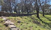 Tour Wandern La Garde-Freinet - La garde freinet - Notre Dame de Miremer - Photo 14