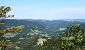 Excursión Senderismo Goumois - Les Sommêtres - Photo 2