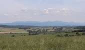 Trail Mountain bike Moimay - Oricourt et environs - Photo 6