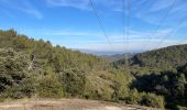 Tour Wandern La Roque-d'Anthéron - PF-La-Roque-d'Anthéron - La Chaîne des Côtes - Reco - Photo 13