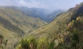 Tocht Stappen Calheta - Rabaçal - Etangs - Photo 4