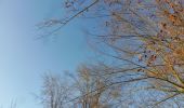 Tour Wandern Quevillon - 20211218-Quevillon  - Photo 13