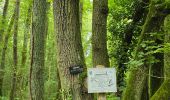 Tocht Stappen Les Granges-le-Roi - Forêt domaniale de Dourdan  - Photo 19