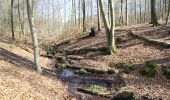 Tour Zu Fuß Hanau - Spessartspuren - Niederrodenbach - Barbarossaquelle und Klosterruine - Photo 4