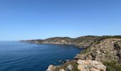 Tour  Hyères - Porquerolle Ouest le fort du Langoustier  - Photo 4