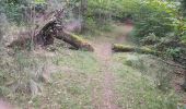 Tocht Stappen Ax-les-Thermes - chemin de petch - Photo 5