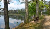 Tour Zu Fuß Plothen - Naturlehrpfad Dreba-Plothen Erweiterung - Photo 4