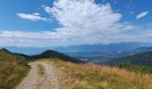 Randonnée Marche Presle - Le chapotet au départ de Prodin - Photo 4