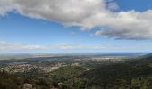 Trail Walking Laroque-des-Albères - Laroque-des-Albères . ballade de 2 fontaines  - Photo 15