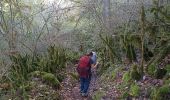 Trail Walking Peyreleau - belle rando dans les Cevennes  - Photo 2