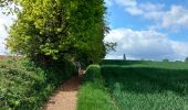 Tocht Stappen Genepiën - petit tour par le Sclage. - Photo 5