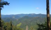 Tour Wandern Wegscheid - FucksfelsenBelacker - Photo 2