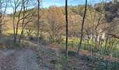 Tour Wandern Welkenrath - Welkenraedt - Eupen gare à gare 24 km - Photo 17