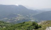 Trail Walking Omblèze - Le Plateau d'Ambel du Col de la Bataille - Photo 11