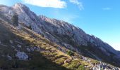 Trail Walking Gresse-en-Vercors - Le Grand Veymont en circuit partiel - Photo 5