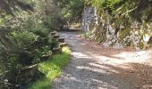 Randonnée Marche Aragnouet - Granges de moudang et source ferrugineuse  - Photo 15