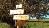 Trail Walking Balbigny - rando au départ de Balbigny, viaduc Chessieu, St Georges de Barolles, les Sigauds, Grenieux, Nervieux, Pont de Balbigny - Photo 3