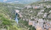 Randonnée Marche Baudinard-sur-Verdon - BAUDINARD  MONPEZAT - Photo 6