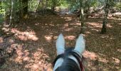 Trail Horseback riding Habay - Marbehan 9 octobre 2022e - Photo 5