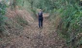Trail Walking Pluneret - PR_56_Pluneret_DA_05_La-Vallee-Du-Leran_Circuit3b_20230917 - Photo 3