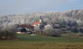 Excursión A pie Berching - Jurasteig König-Ludwig-Schlaufe - Photo 8