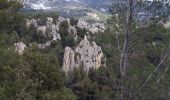 Tocht Stappen Le Revest-les-Eaux - Le Mont Caume-17-03-21 - Photo 13