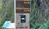 Trail Walking Saint-Paul - Canalisation des Orangers - Ilet des Orangers - Gite du Cirque - Photo 14