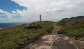 Excursión Bici eléctrica La Désirade - La Désirade - Photo 8