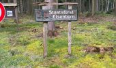 Excursión Senderismo Büllingen - Rocherath (Rocher de Bieley) 12 Km - Photo 14