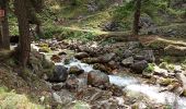 Randonnée Marche Névache - 05-08-22 lac vert, vallée étroite - Photo 2