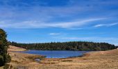 Tocht Stappen Aumessas - Lac de Pise au départ de Aumessas  - Photo 12