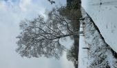 Excursión Senderismo Stavelot - Hockai ❄️☃️ - Photo 13