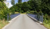 Tour Zu Fuß Naila - Marxgrüner Panoramaweg US 46 - Photo 1