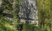 Tour Zu Fuß Wiesenttal - Rundweg durch die Felsenschlucht - Photo 9