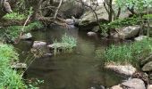 Tour Wandern Riols - Sentier des légendes (1000 marches) par Langlade (Riols) - Photo 11