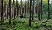 Randonnée A pied Kirchzell - Rundwanderweg Kirchzell Wildschweinfütterung 9: Hainbuche-Weg - Photo 1