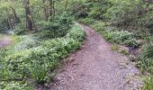Trail Walking Chaudfontaine - autour du bois les dames  - Photo 3