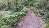 Tocht Stappen Chaudfontaine - autour du bois les dames  - Photo 3