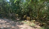 Trail Walking Auxey-Duresses - Camp des Celtes et sentier des Cabottes - Photo 8