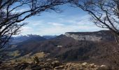 Trail Walking Apremont - Mont Joigny, pte de la Georgat, la Lentille, le GD Carroz - Photo 6