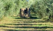 Tocht Stappen Beaurecueil - SityTrail - 3632225 - le-tour-des-trois-barrages - Photo 3